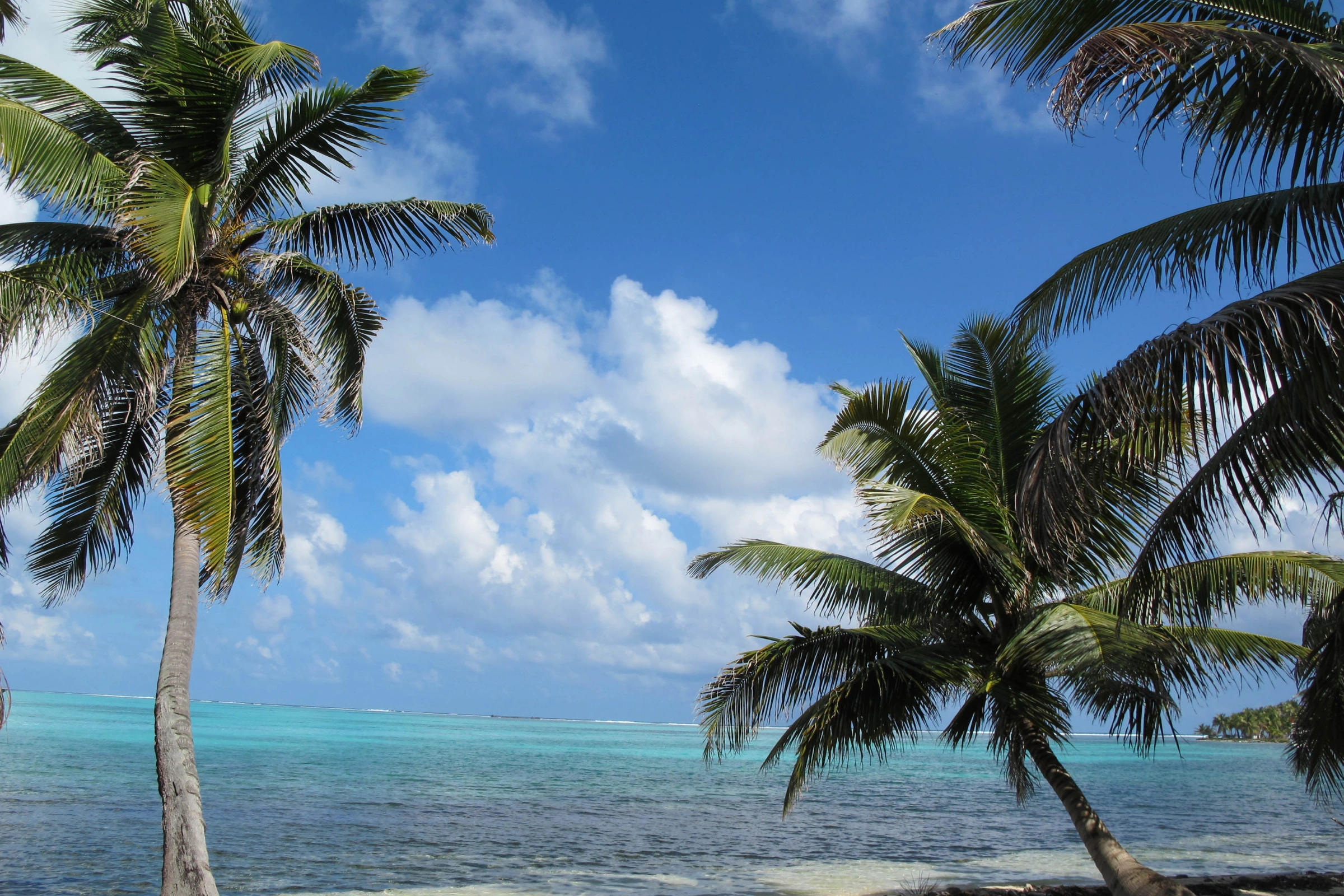 Half_Moon_Caye[1].webp